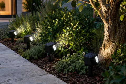 Quatre projecteurs solaires noirs orientables, plantés au ras du sol au bord d’une allée, éclairent un arbuste et un tronc en blanc froid au crépuscule.